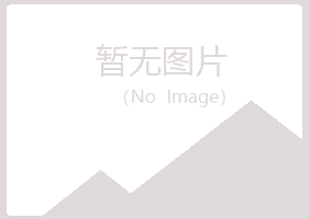 夏县蓝天化学有限公司